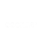 Econic Agency, LLC